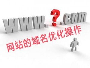 网站的域名优化