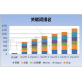 池州如何防止SEO关键词排名下降