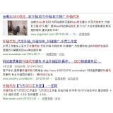 池州朱安安：SEO外链代发行业大揭密